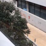 Imagen del local supuestamente okupado