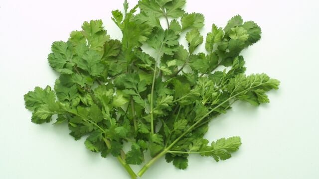 Este hallazgo resulta importante ya que abre la puerta a un uso más efectivo del cilantro