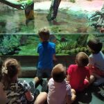Imagen de archivo de un grupo de escolares en el Acuario de Sevilla