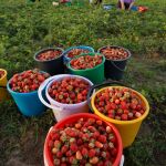 Los datos de la EPA, pésimos en toda España, fueron aterradores en Huelva, la provincia andaluza donde más subió la tasa de desempleo hasta situarse en el 22% / Foto: La Razón
