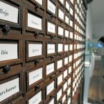 Antiguo fichero que utilizaban los académicos para sus anotaciones léxicas