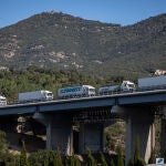 Levantan las restricciones al transporte de mercancías