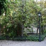 Imagen de un rincón del jardín de la UB