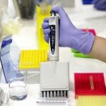 Sanidad distribuye cuatro millones para la detección de dos tipos de cáncer en más de 12,3 millones de españoles