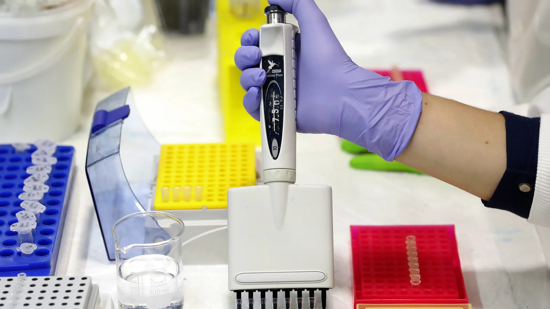 Un nuevo método de cribado de cáncer colon podría evitar 35% de colonoscopias