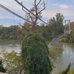 Un muerto y varios desaparecidos tras el derrumbe de un puente en Toulouse, Francia