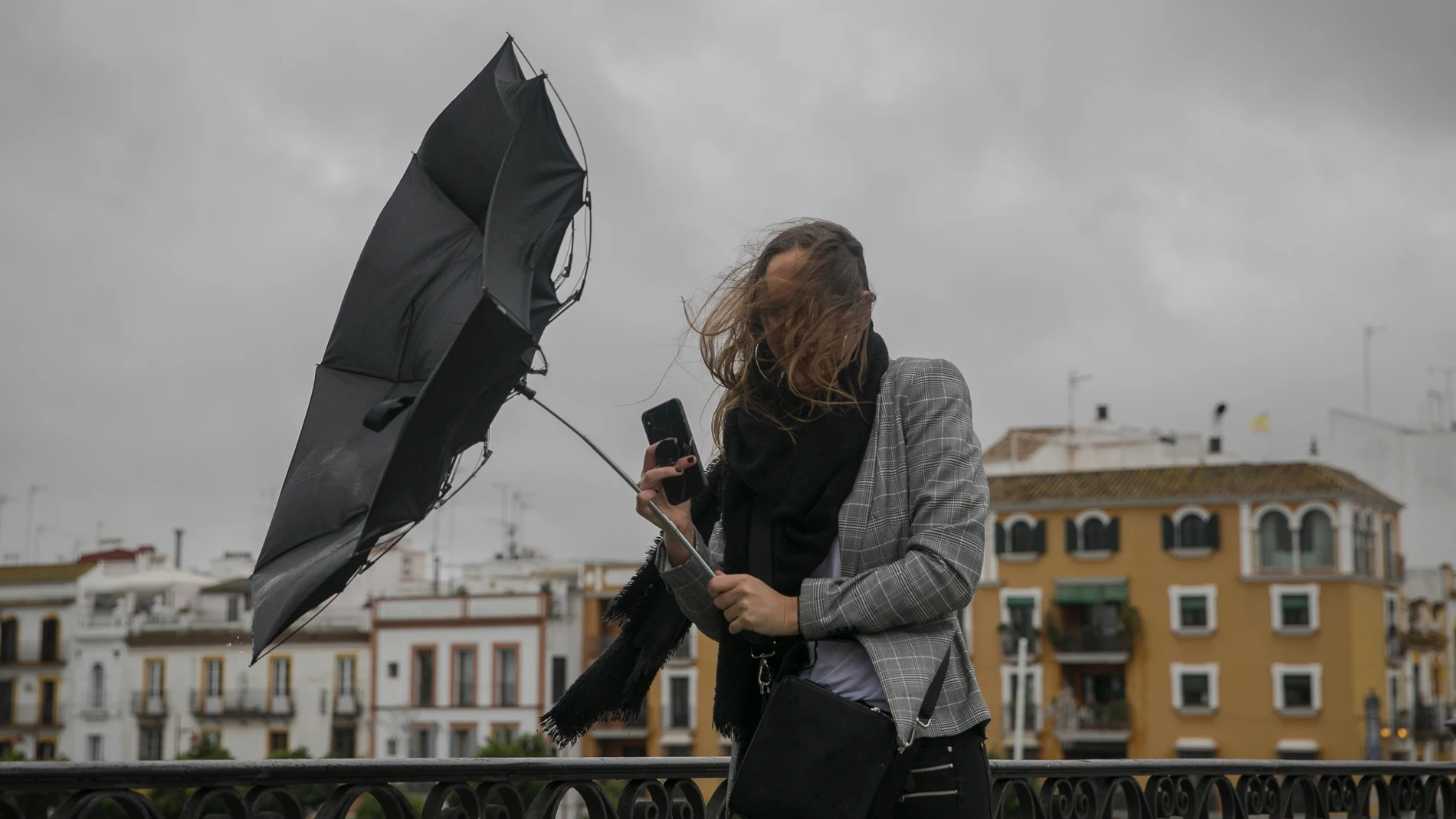 Lluvia y viento en Sevilla