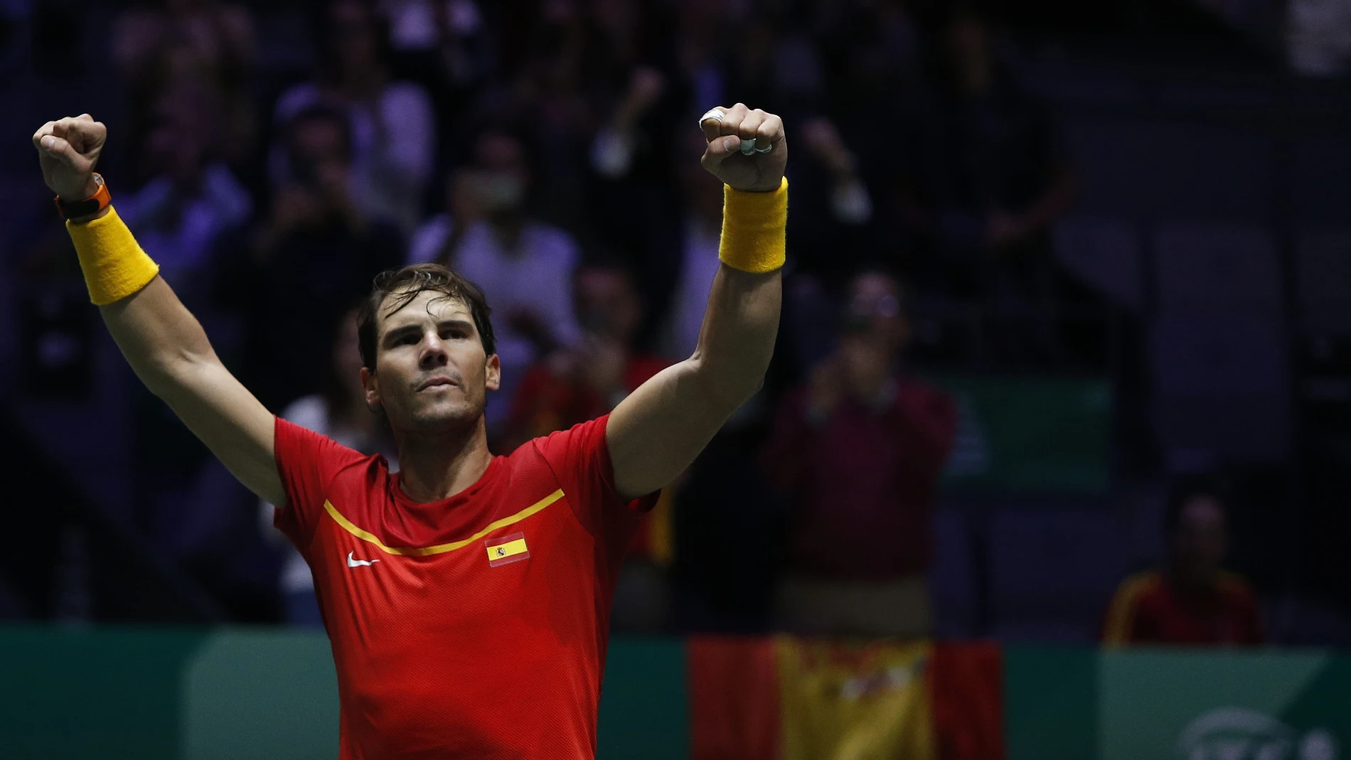 Davis Cup Finals in Madrid