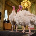 La Federación Nacional de Pavos presenta a Pan (izquierda) y Mantequilla (derecha) en el Hotel Willard InterContinental de Washington