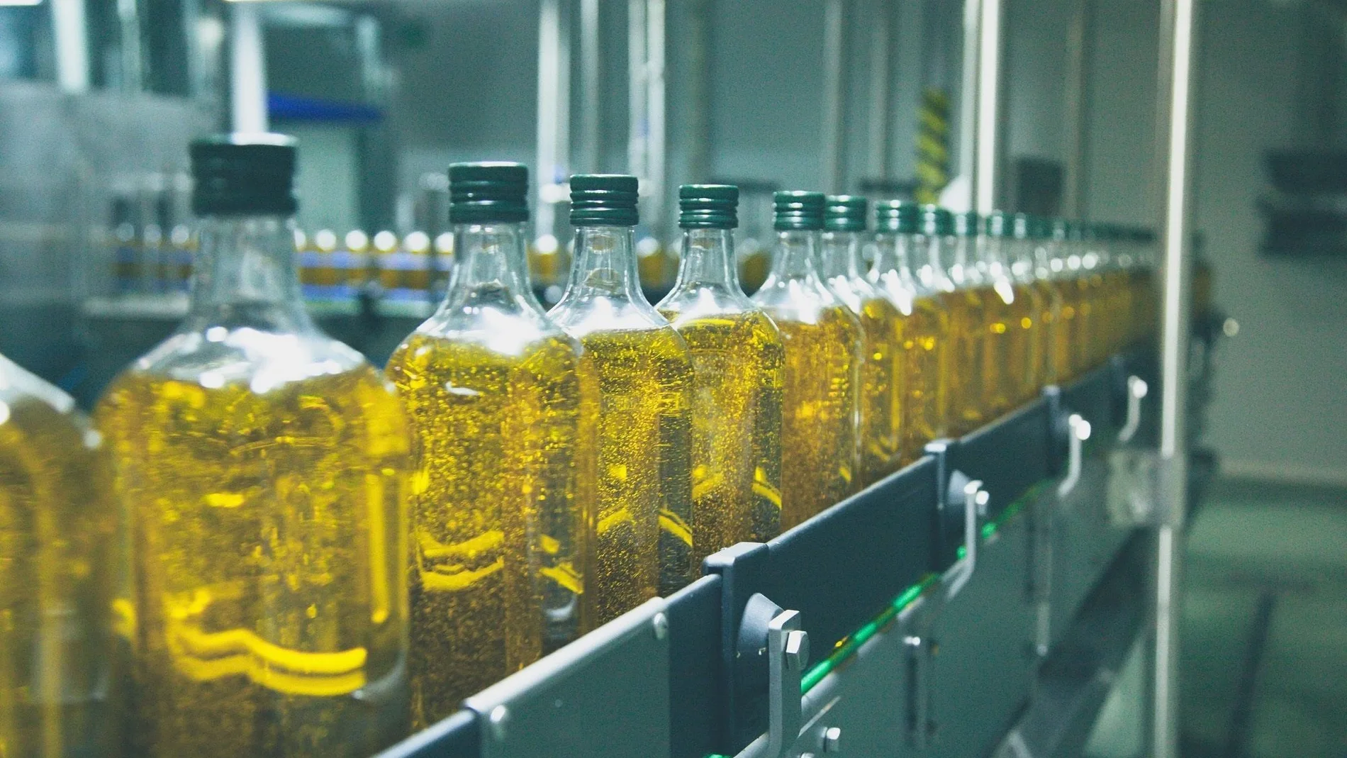 Envasado de botellas de aceite de oliva