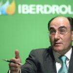 Iberdrola pagará el 2 de enero un dividendo de 0,143 euros a cuenta de 2008, un 24% más