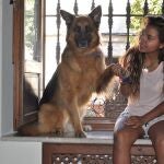 Los perros tienen predisposición a comprender el lenguaje / E. Iglesias