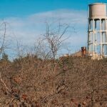 Según los datos de la Asociación Valenciana de Agricultores, en la Comunitat Valenciana se abandonan seis hectáreas al día