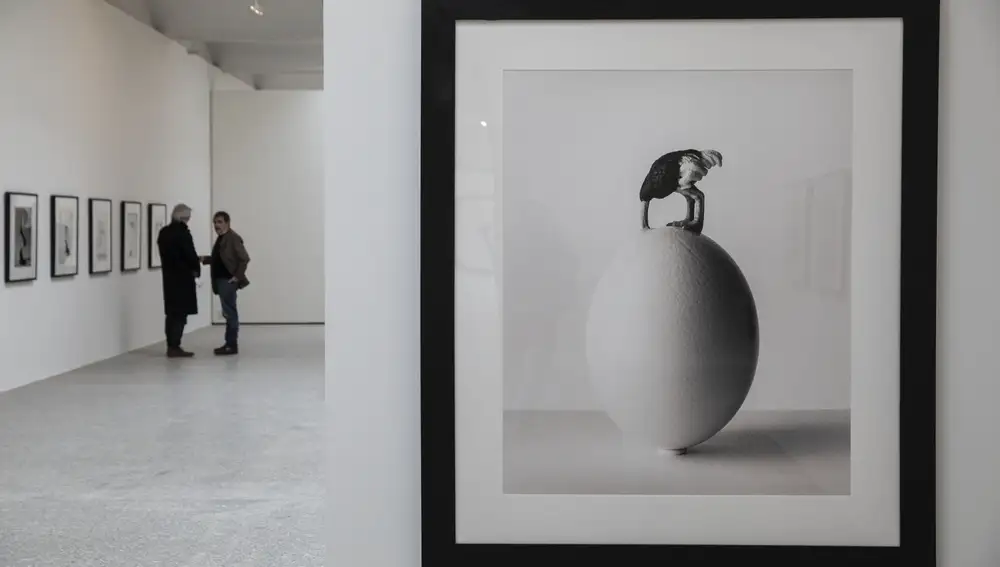 Exposición La naturaleza de las cosas, de Chema Madoz en el Pabellón de Villanueva del Real Jardín Botánico de Madrid