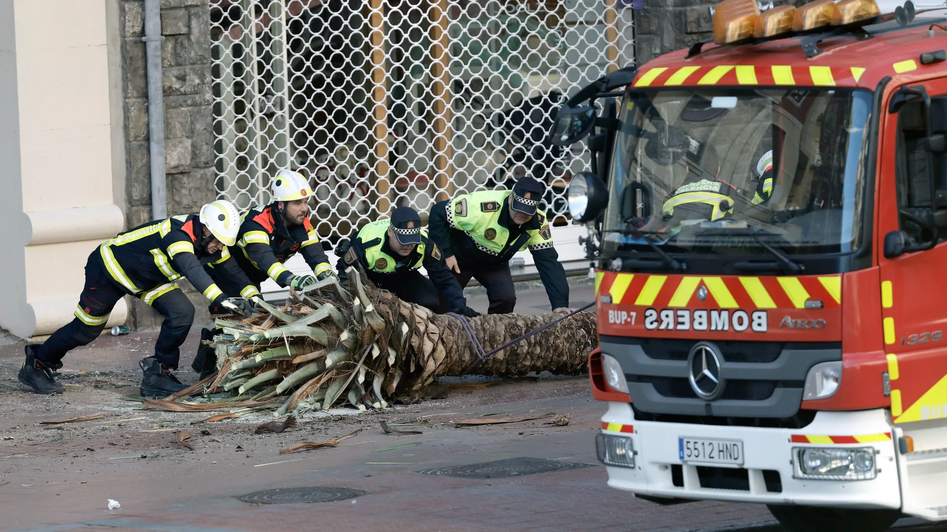 Una de las palmeras caídas por las fuertes rachas de viento en el centro de Valencia es retirada por bomberos y Policía Local. El teléfono de emergencias 112 Comunitat Valenciana ha atendido un total de 29.710 llamadas desde que el pasado jueves se activó la preemergencia por fuertes vientos, que se ha traducido en 8.215 incidentes.