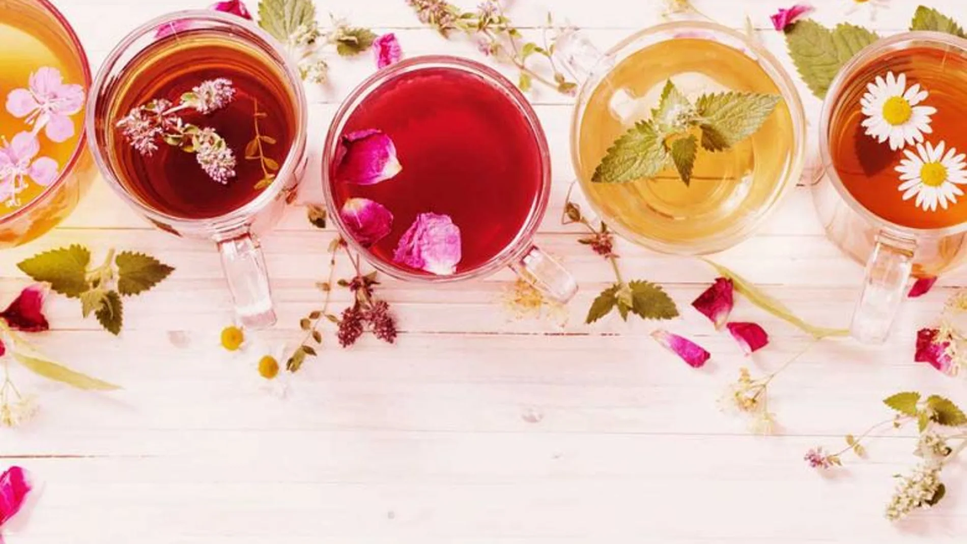 Infusiones depurativas