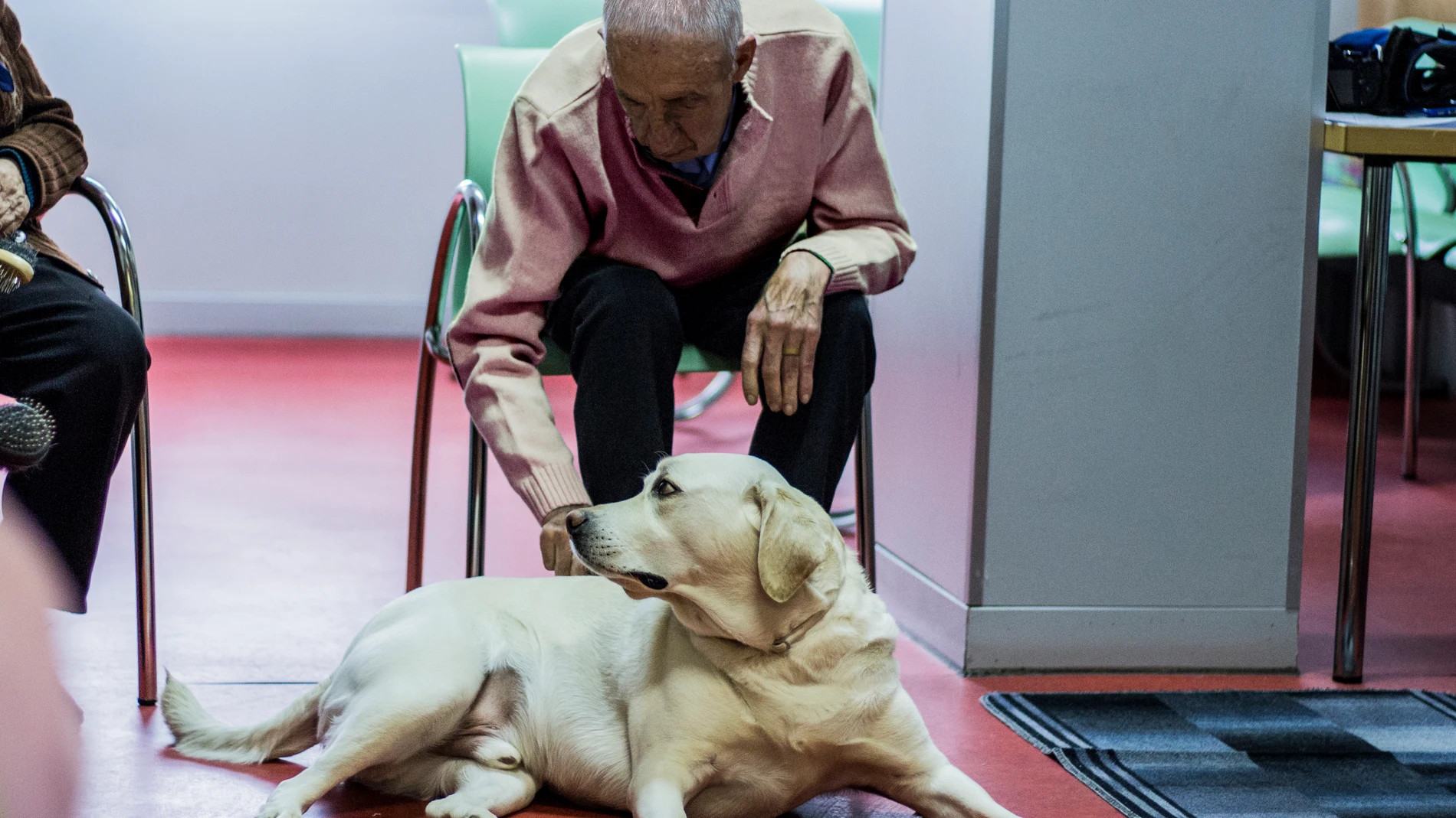 Cleve Vitam desarrolla programas de terapia asistida con animales para el beneficio de sus residentes