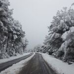 La nieve se ha dejado ver en algunos puntos de la comarca de Els Ports y la Tinença de Benifassà (Imagen de archivo)