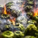 La alcachofa pasa de la generosidad coronaria al detalle de las hojas sin perder, en ningún caso, sus nociones de grandiosidad culinaria