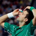 Djokovic, en su partido de cuartos de Australia contra Raonic