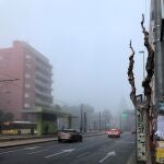 Murcia regsitra hoy temperaturas poco primaverales 1/1/1970