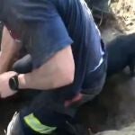 Momento en el que la perrita Lola es liberada de la madriguera
