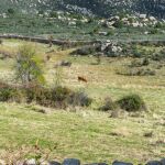 Parque Nacional de la Sierra de Guadarrama