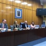 La consejera de Fomento, Marifrán Carazo, en la Comisión de Fomento en el Parlamento