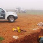 Investigado por arrojar dos perros a una zanja habilitada para desechos de las matanzas