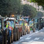 Imagen de la protesta de los agricultores con los tractores en la ciudad de Valencia