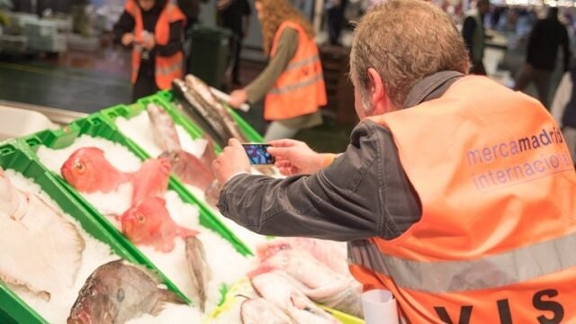 Pescado en uno de los puestos de Mercamadrid