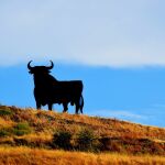 El toro de Osborne es uno de los símbolos más característicos de nuestro país.
