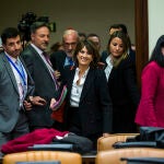 Dolores Delgado, minutos antes de comenzar su comparecencia ante la comisión de Justicia del Congreso