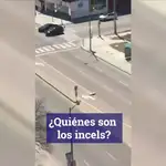 Los “incels” o la subcultura del odio a la mujer, ¿detrás de las últimas masacres?