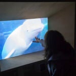 Vídeo de la exposición de Joan Jonas en el Museo Thyssen-Boremisza