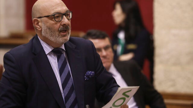 El portavoz del grupo parlamentario Vox, Alejandro Hernández, durante su intervención en la sesión de control al gobierno hace una semana