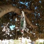 "El feminismo y los antifas muestran así su verdadera cara alentando el terrorismo contra La Alternativa”, denunciaba Vox a través de su Twitter.