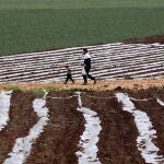España ha pedido que se amplíe el plazo para pedir la PAC