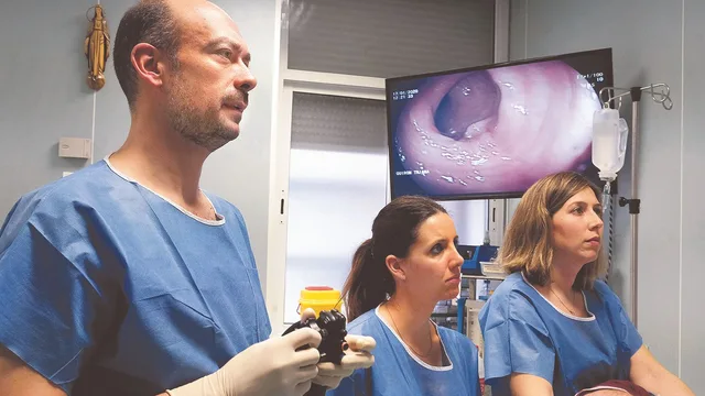 En la imagen, profesionales de la salud realizan una colonoscopia