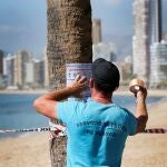 Un operario municipal coloca carteles en inglés del cierre de la playa de Benidorm . La Generalitat Valenciana ha declarado el nivel de "Emergencia 2" para aumentar la coordinación de la situación derivada de la pandemia del coronavirus a través del Centro de Coordinación Operativa Integrada (Cecopi), que incorporará a las suministradores de servicios públicos y sectores de la distribución