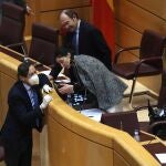MADRID, 17/03/2020.- El pleno del Senado se ha visto este martes obligado por la crisis del coronavirus a recurrir a una sesión telemática exprés, apenas dos minutos, para aprobar un procotolo internacional sobre la adhesión de Macedonia del Norte a la OTAN, que estaba ratificado por todos los países miembros, salvo España. EFE/Kiko Huesca