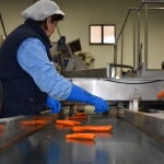 Las cooperativas siguen a pleno rendimiento