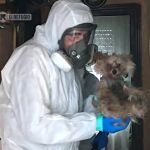 'El Refugio' rescata a dos perros de la vivienda en San Blas de un matrimonio hospitalizado por coronavirus.EL REFUGIO (Foto de ARCHIVO)10/10/2019