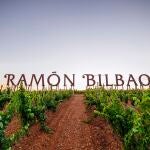 Viñedos de Bodegas Ramón BilbaoBODEGAS RAMÓN23/03/2020