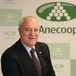 Joan Mir, director general de Anecoop
