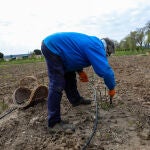 El Institut Agrícola pide la modificación de las condiciones establecidas en los avales