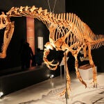 Reconstrucción fósil de un Irritator challengeri