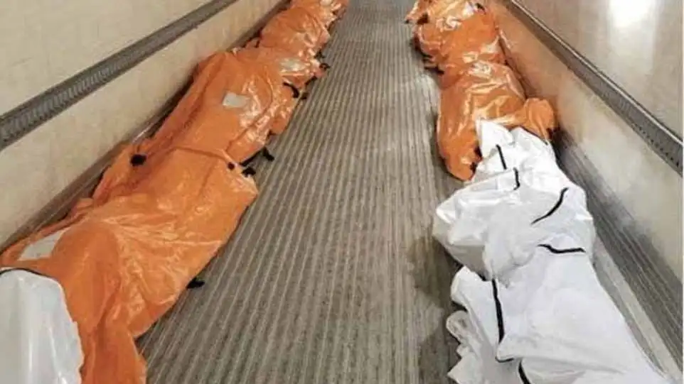 Una enfermera de un hospital de Manhattan hizo esta foto del interior de uno de los camiones refrigerados donde se transportan los cadáveres de muertos con COVID19