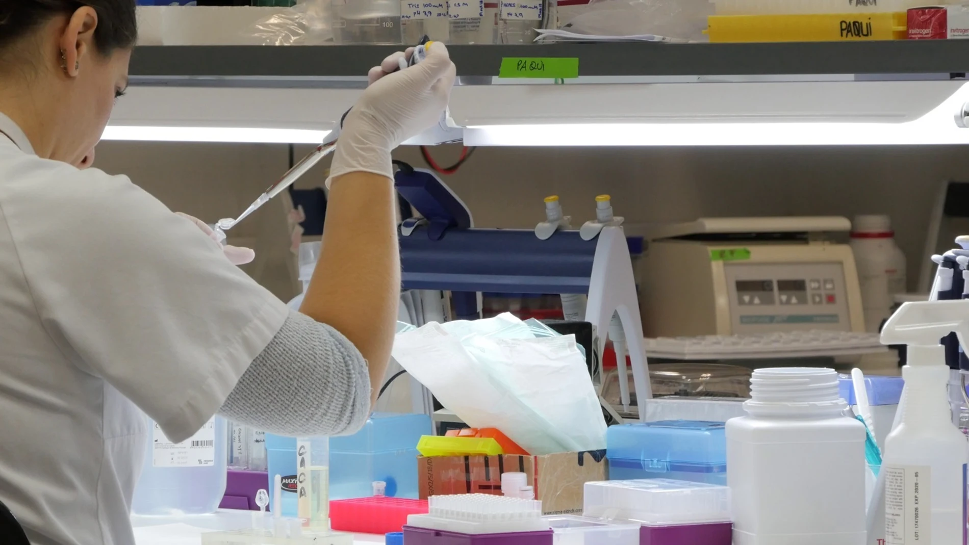 Coronavirus.- El IMIB presenta 13 proyectos de investigación para luchar contra el COVID-19 por valor de 12 millones