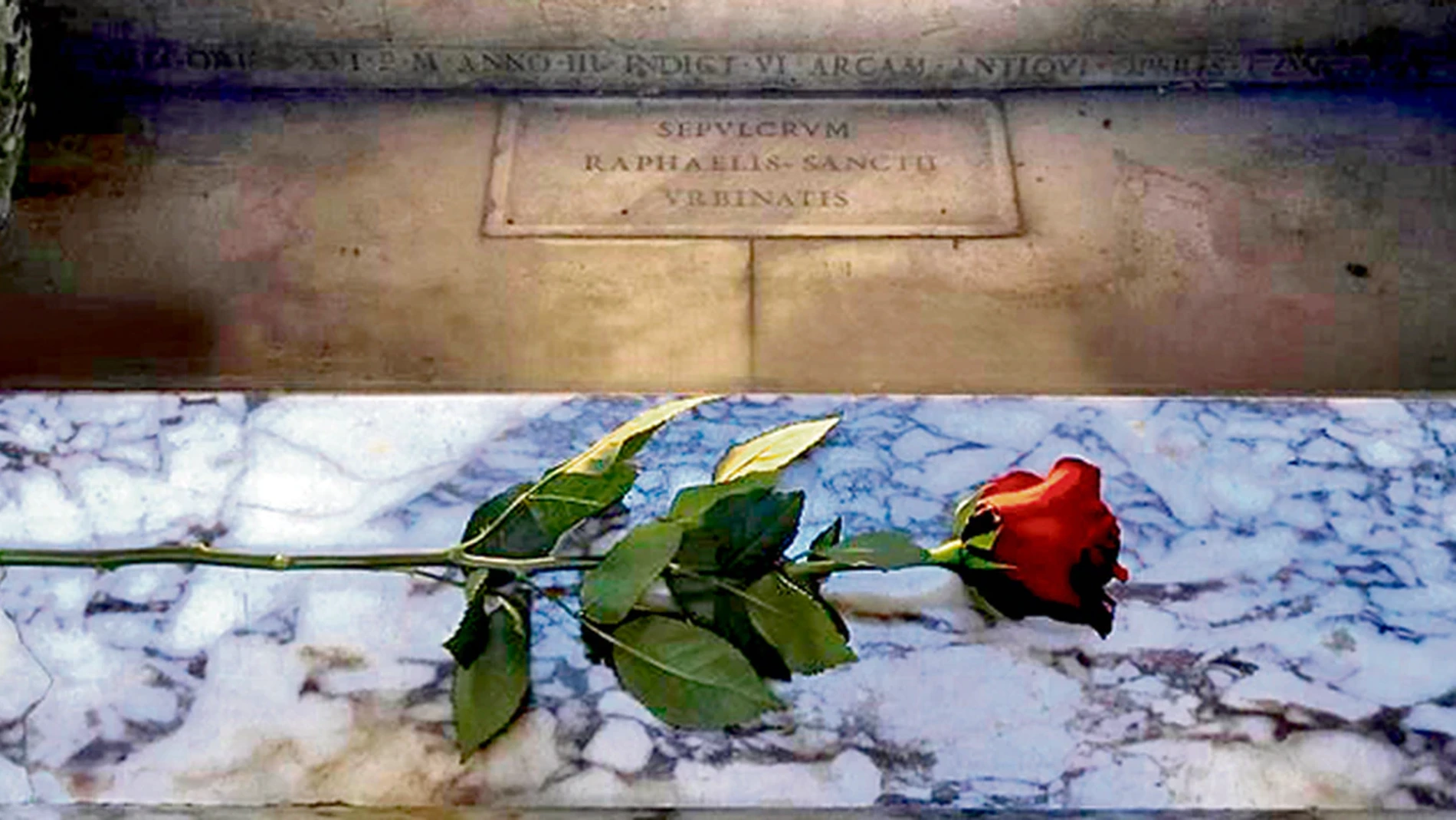 Una rosa roja en la tumba del pintor Rafael Sanzio durante cada día de 2020 para conmemorar su muerte